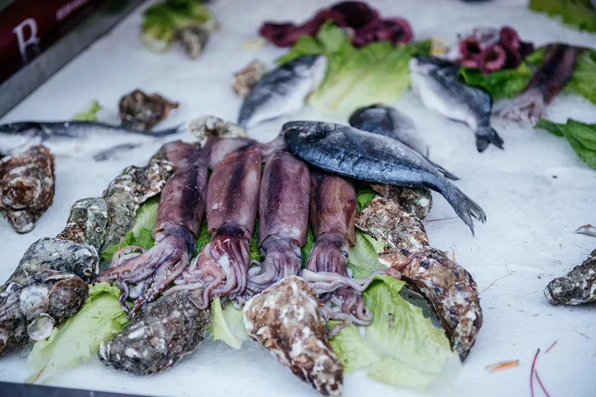 Squid, fish and oysters laid out on ice